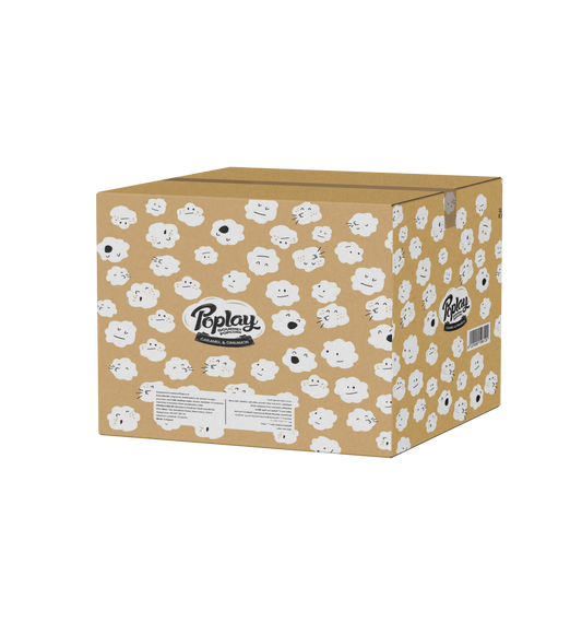 POPLAY Caramel & Cinnamon Popcorn Box – 12 Pack Box